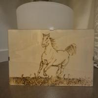 Quadro di un cavallo.