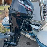 Motore fuoribordo Mercury F40 ELPT EFI