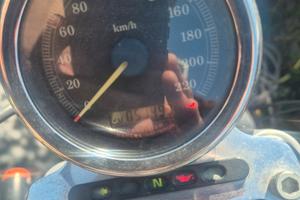  Harley Davidson Sporster 883 anno 2005 