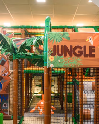 Playground Jungle