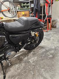 harley rodaster