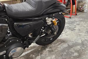 harley rodaster