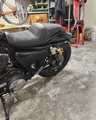harley rodaster