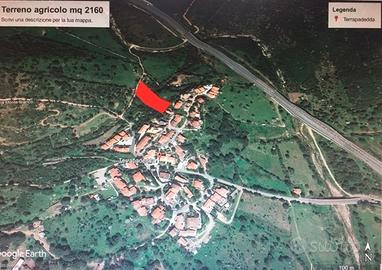 Terreno agricolo | San Teodoro