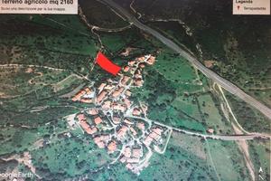 Terreno agricolo | San Teodoro