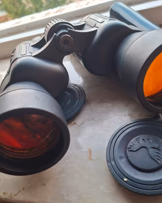 binocolo