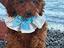 Immagine 5
