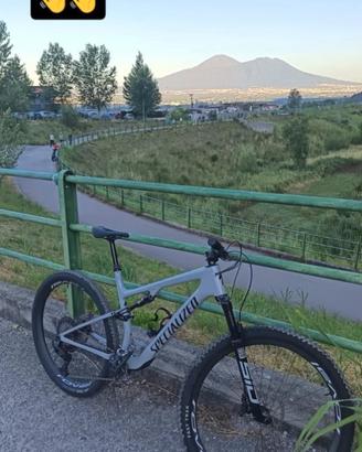 Specialized epic expert