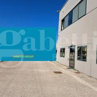 Capannone Industriale Carbonera