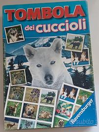 la Tombola dei cuccioli 
