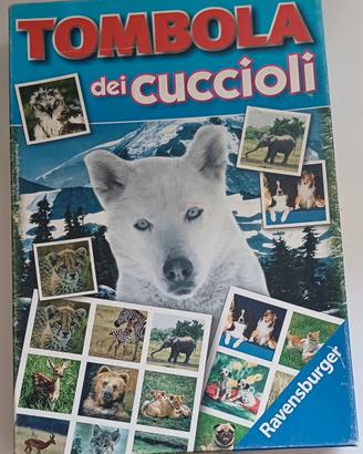 la Tombola dei cuccioli 