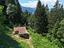 Immagine 13