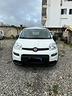fiat-panda-1-0-hybrid-2021-n1