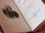 Immagine 2