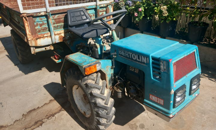 Motoagricola bertolini 318