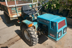 Motoagricola bertolini 318