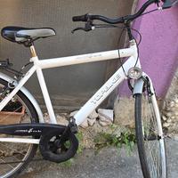 bici da passeggio
