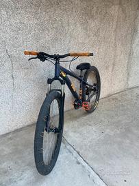 Whellie bike