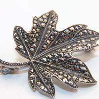 Stupenda spilla foglia acero argento marcasite