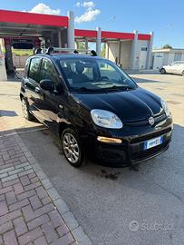 panda