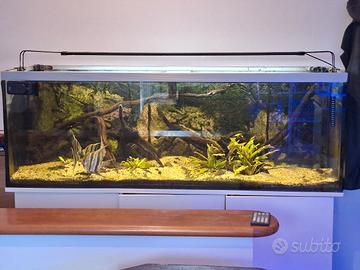 Acquario - Accessori per acquario 