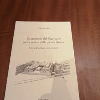 ROMA ANTICA-Il complesso del NIGER LAPIS