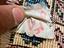 Immagine 5