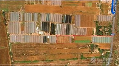 Terreno agricolo con serra Li Foggi (Gallipoli)