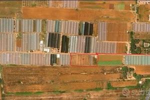 Terreno agricolo con serra Li Foggi (Gallipoli)