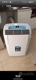 Pinguino DeLonghi 10.500BTu