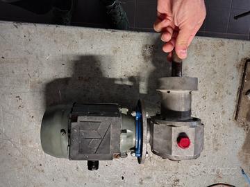 Motore elettrico con riduttore angolare