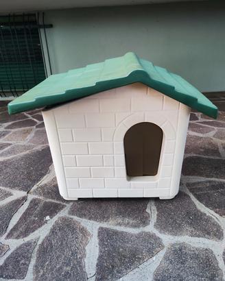 cuccia coibentata cani