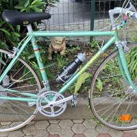 Bici da corsa Calzone-Bianchi