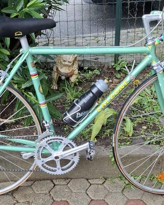 Bici da corsa Calzone-Bianchi