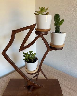 Composizione piante stile bonsai  (ST5)