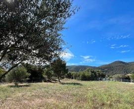 TER. AGRICOLO A OLBIA