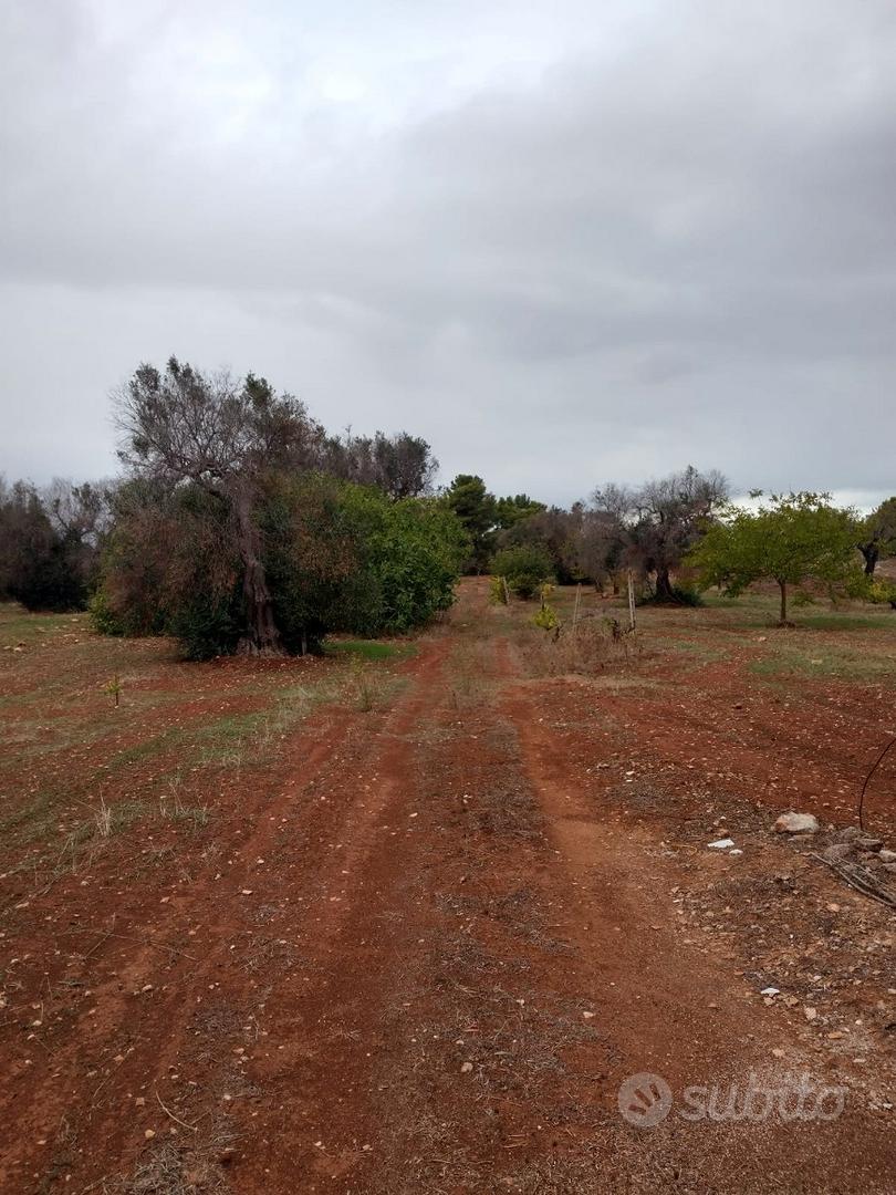 Terreno agricolo edificabile circa mq 8000 - Vista 2
