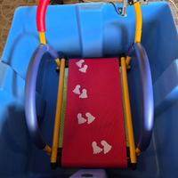 Vasca e tappeto terapie Riabilitazione Cane