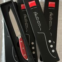 Set di 4 Coltelli da tavola Giannini