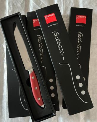 Set di 4 Coltelli da tavola Giannini