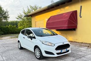 Ford Fiesta 1.5 TDCi 75CV 3 porte Van Entry