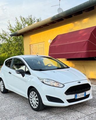 Ford Fiesta 1.5 TDCi 75CV 3 porte Van Entry