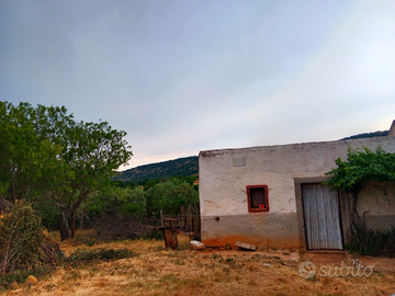 Terreno con fabbricato