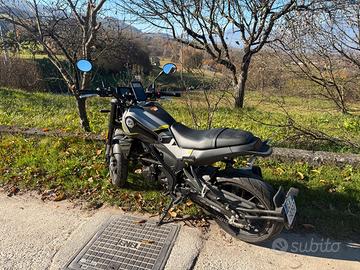 Benelli Leoncino 250