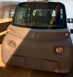 AMI CITROEN PERFETTA