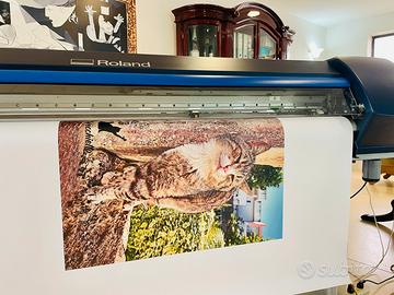 Roland Sp 540 v - Plotter Stampa e Taglio