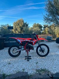 BETA RR 50 2024