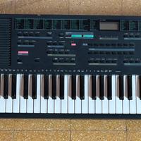 Tastiera Farfisa DK 250