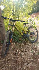 Scott gambler tuned