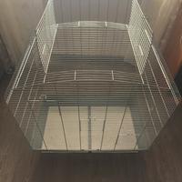 Voliera per petauri ,roditori e volatili